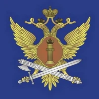 حوض زهور على شكل قطة