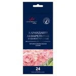 Акварельные художественные карандаши "VISTA-ARTISTA" "Gallery" VGWP-24 Акварельные карандаши набор заточенный 4 х 24 цв.
