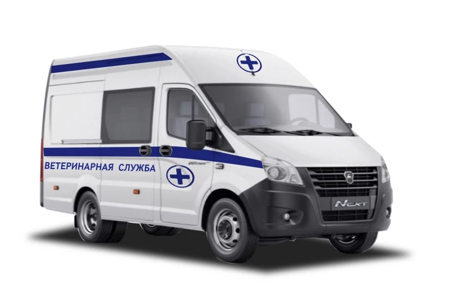 Diesel Engine Cargo Vehicles Type 22438N Model 22438Y, 22438N, 22438U, 22438F, 22438G, 22438H, 22438K, 224