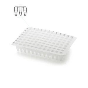 لوحة تشخيص PCR غير معقمة لـ 96 بئر
