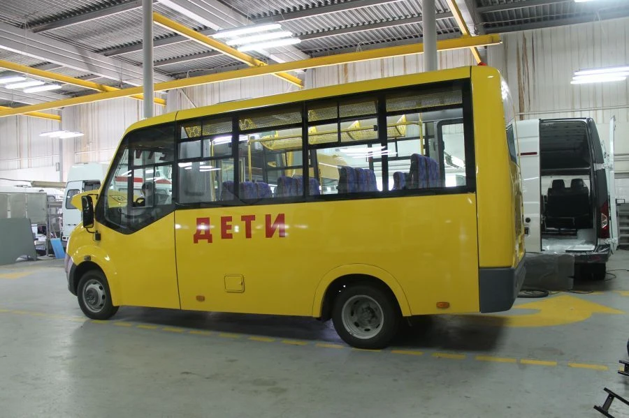 Special Diesel Buses for Passenger Transport, Model 224380