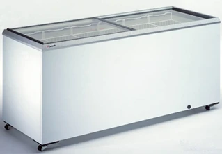 صندوق تجميد KLIMASAN D 600 DFSG FF+