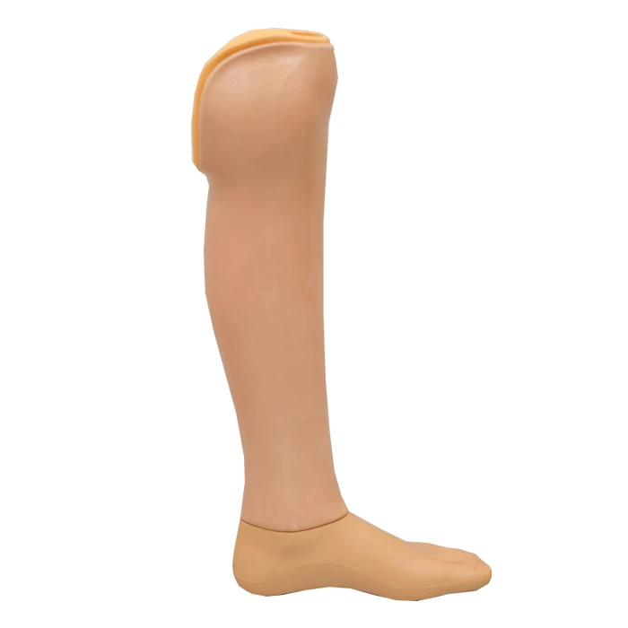 Modular Lower Leg Prosthesis with Custom Socket for Enhanced Fit PN3-87