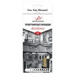 Чернографитные художественные карандаши "VISTA-ARTISTA" "Academia"VAGPS-12 Чернографитные карандаши набор заточенный 8х12шт.