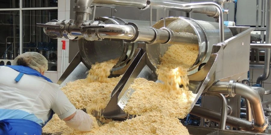Cottage Cheese Production Line Model CCPL-2023