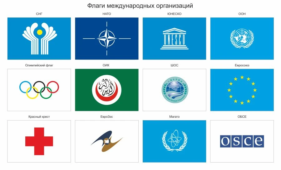 أعلام المنظمات الدولية بالطباعة السفلية