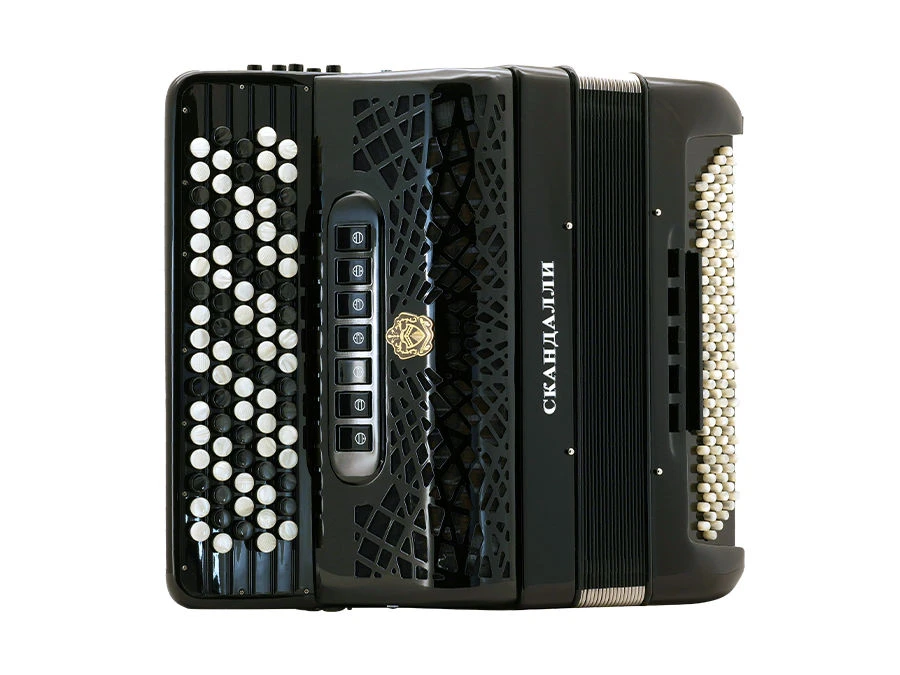 Bayan Musical Instrument BJC 342