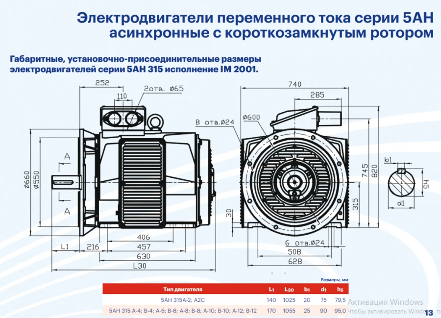 Электродвигатели переменного тока серии 5АН 315 асинхронные с короткозамкнутым ротором мощностью более 75 кВт, но не более 375 к