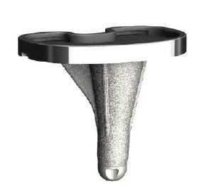 Large Tibial Component 2: 2/69 mm with Rotational Platform, Model 19.02.069