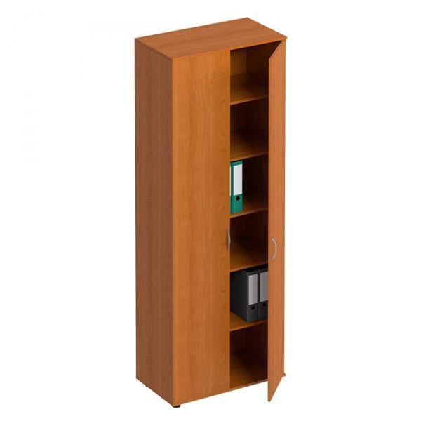 Closed Document Storage Cabinet