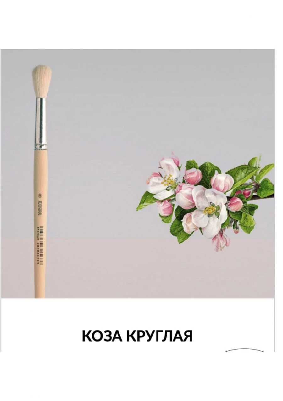 Natural Goat Hair Round Paintbrush for Artistic Painting