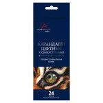 Цветные художественные карандаши "VISTA-ARTISTA" "Gallery" VGCP-24 Набор цветных карандашей заточенный 4 х 24 цв.