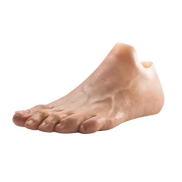 Custom-Made Modular Foot Prosthesis with Individual Socket