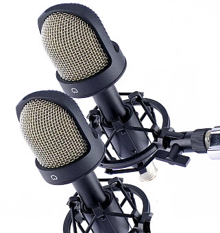 ميكروفون مكثف ستيريو MK-101