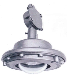 Cap DSP Ex Explosion-Proof Luminaire