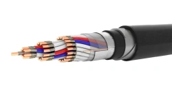 Control Cable KVEBBShvng(A)-FRLS-XH with PVC Insulation