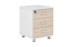Lockable Mobile Cabinet with Upper Drawer, Model TAR330