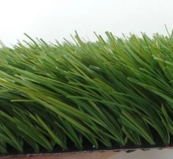 Artificial grass Grass 50Z/10