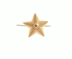 Golden Metal Star 13mm for Law Enforcement Personnel