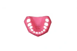 Upper Jaw Gum for Pediatric Dental Model PD-DV DM24