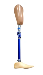 Bathing Hip Prosthesis PN6-M-K