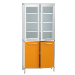 Medical Storage Cabinet for Pharmaceuticals DM-2-101-13.K2.F2