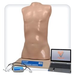 Anatomically Accurate Heart and Lung Auscultation Simulator PE6411