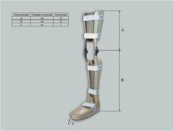 Ankle and Knee Joint Support Apparatus Custom Made