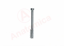 Cannulated Screw with 16 mm Thread for Bone Fixation