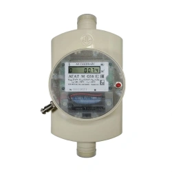 Ultrasonic Gas Meters with Automatic Temperature Correction and Electronic Indication AGAT M