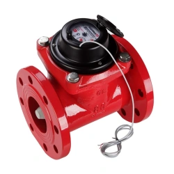 Turbine Hot Water Meter NORM STV-80GI