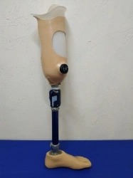Bathing Prosthesis for Hip Support