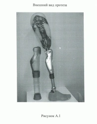 Microprocessor-Controlled Hip Prosthesis PN6-Obel