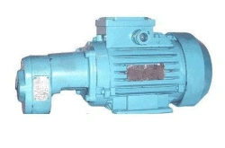 Low Pressure Gear Pump for Technical Oils, G11-23