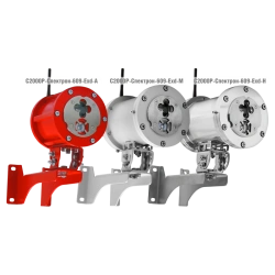 Multi-Channel Flame Detector C2000R-Spektron-609-Exd-N