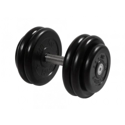 Professional Dumbbells for Fitness and Home Use