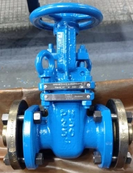 Steel Wedge Gate Valve with Rising Stem and Handwheel, PN 2.5 MPa, DN 50