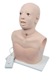 Adult Nasal Cavity Examination Electronic Model CS6272