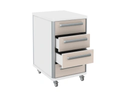 Laboratory Equipment and Supplies Storage Cabinet TP 1-4