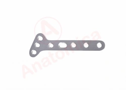 Small Oblique T-Shaped Plate with Angular Stability