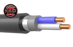 Low Smoke Halogen-Free Cable for Indoor and Outdoor Use 2x6mm² VBShV ng(A)-LS