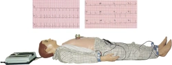 ECG Training Manikin for Skill Development, Art. PE6415/XDI