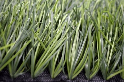 Artificial grass Grass 60/11
