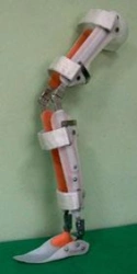 Orthopedic Apparatus for Ankle and Knee Joints
