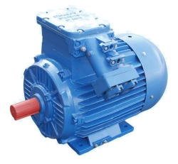 Explosion-Proof Three-Phase Induction Motors, Height 250-280, Over 75 kW