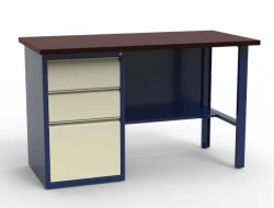 Single Cabinet Workbench with Laminated Plywood Top SV-1T.03.00.14.FL