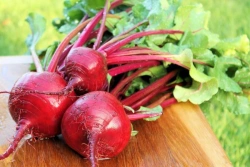 Fresh Table Beetroot - Premium Quality