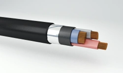 Power Cables with Copper Conductors and Plastic Insulation up to 1 kV PVBShvng(A)
