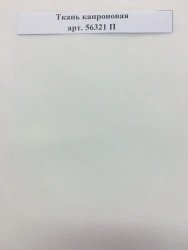 Non-Finished Nylon Fabric with Fireproof Treatment, Art. 56321 P