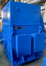 AODK-630/315-6/8U1 Three-Phase Asynchronous Motor